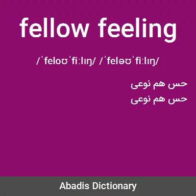 معنی fellow feeling